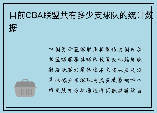 目前CBA联盟共有多少支球队的统计数据